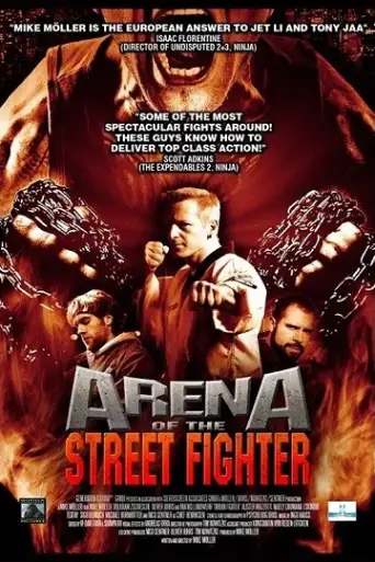 Urban Fighter (2012) poster