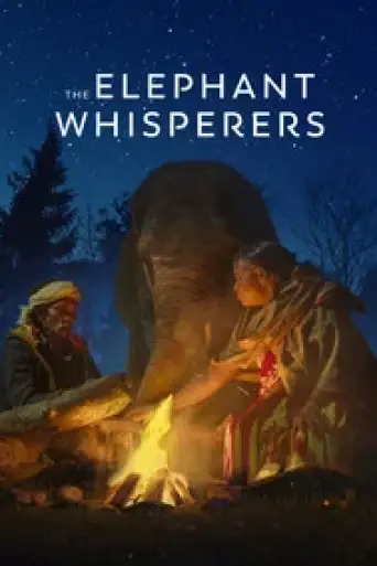 The Elephant Whisperers (2022) Hindi WEB-DL 1080p 720p & 480p x264 DD5.1 | Full Documentary
