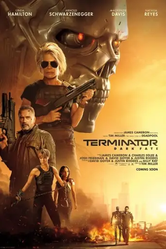 Terminator: Dark Fate (2019) BluRay [Hindi (ORG 5.1) & English] 1080p 720p & 480p Dual Audio [x264]