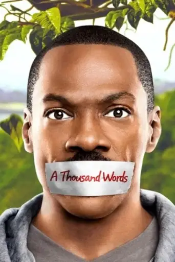 A Thousand Words (2012) BluRay [Hindi (DD5.1) & English] 1080p 720p & 480p Dual Audio [x264]
