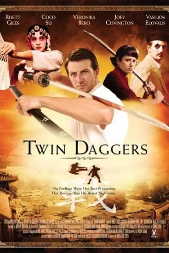 Twin Daggers (2008) BluRay [Hindi + English] 720p & 480p Dual Audio HD Esub