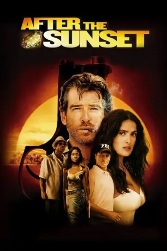 After the Sunset (2004) BluRay [Hindi (DD2.0) & English] 1080p 720p & 480p Dual Audio [x264]