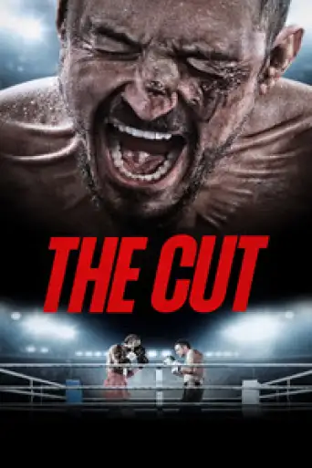 The Cut (2024) BluRay [Hindi (DD2.0) & English] 4K 1080p 720p & 480p Dual Audio [x264/10Bit-HEVC]
