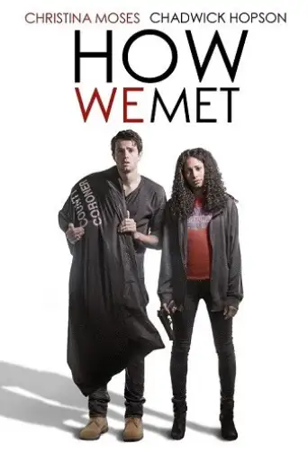 How We Met (2016) WEB-HD [Hindi + English] 720p &… poster
