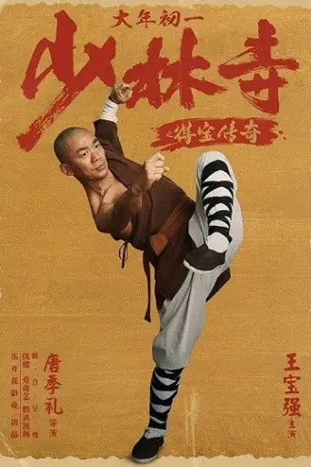 Rising Shaolin: The Protector (2021) WEB-HD [Hind… poster