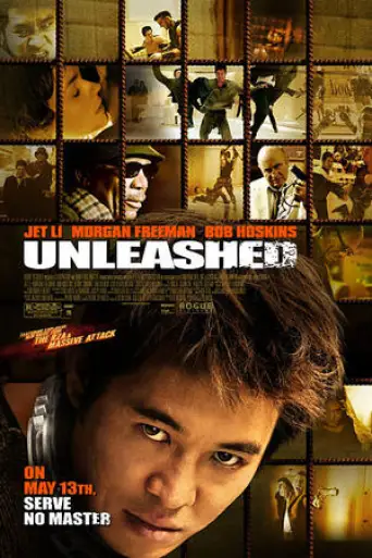 Unleashed (2005) Hindi BluRay 720p & 480p Dual Audio [ हिंदी + English]