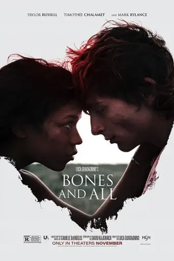 Bones and All (2022) BluRay [Hindi + English] 720p & 480p x264 Dual Audio ESubs HD