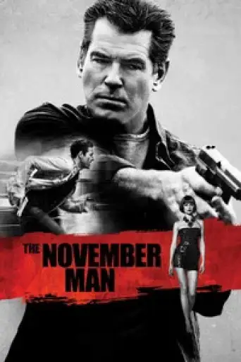 The November Man (2014) BluRay [Hindi (ORG 5.1) & English] 1080p 720p & 480p Dual Audio [x264]