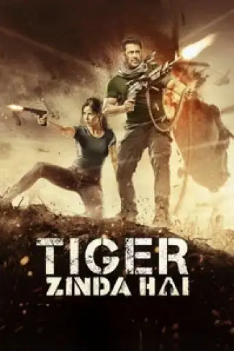 Tiger Zinda Hai (2017) BluRay [Hindi DD5.1] 1080p 720p & 480p [x264/HEVC]