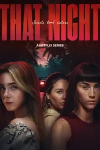 That Night (Season 1) WEB-DL [Hindi (DD5.1) & English] 1080p 720p & 480p Dual Audio [x264/ESubs] | NF Series