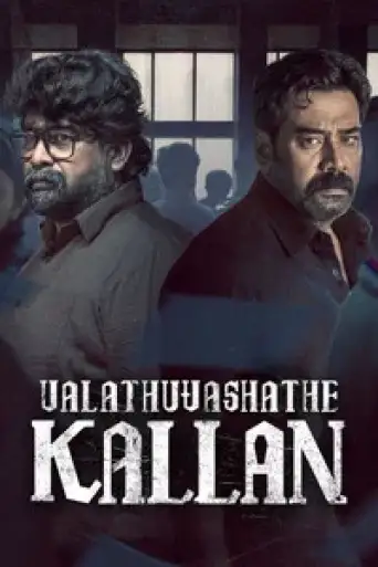 Valathu Vashathe Kallan (2026) DS4K WEB-DL [Hindi (DD2.0) & Malayalam] 4K 1080p 720p & 480p Dual Audio [x264/HEVC]
