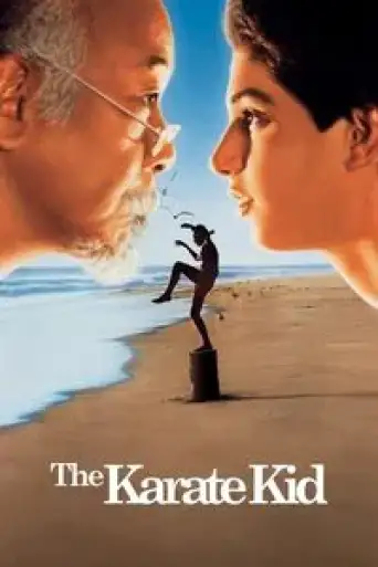 The Karate Kid (1984) BluRay [Hindi (DD2.0) & English] 1080p 720p & 480p [x264/10Bit-HEVC]