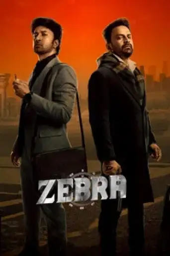 Zebra (2024) UNCUT DS4K WEB-DL [Hindi (DD2.0) & Telugu] 4K 1080p 720p & 480p Dual Audio [x264/10Bit-HEVC]