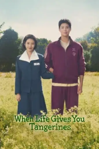 When Life Gives You Tangerines (Season 1) WEB-DL [Hindi (ORG 5.1) & English] 1080p 720p & 480p [x264/ESubs] NF Series | ALL Episodes