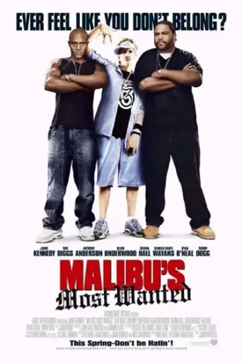 Malibu’s Most Wanted (2003) WEB-HD [Hindi AAC DD2.0 & English] Dual Audio 720p & 480p x264 ESubs HD