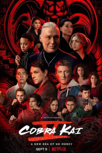 Cobra Kai (Season 5) WEB-DL [Hindi 5.1 & English] 1080p 720p & 480p x264/10Bit HEVC [ALL Episodes] | NF Series