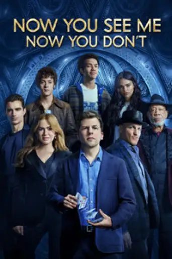 Now You See Me: Now You Don’t (2025) BluRay [Hindi (DD5.1) & English] 4K 1080p 720p & 480p Dual Audio [x264/10Bit-HEVC]