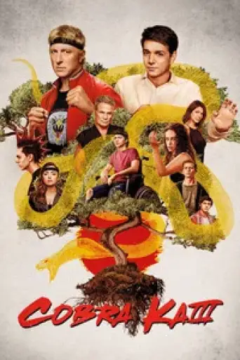 Cobra Kai (Season 3) WEB-DL [Hindi DD5.1 & English] 1080p & 720p Dual Audio [x264] | Netflix Series