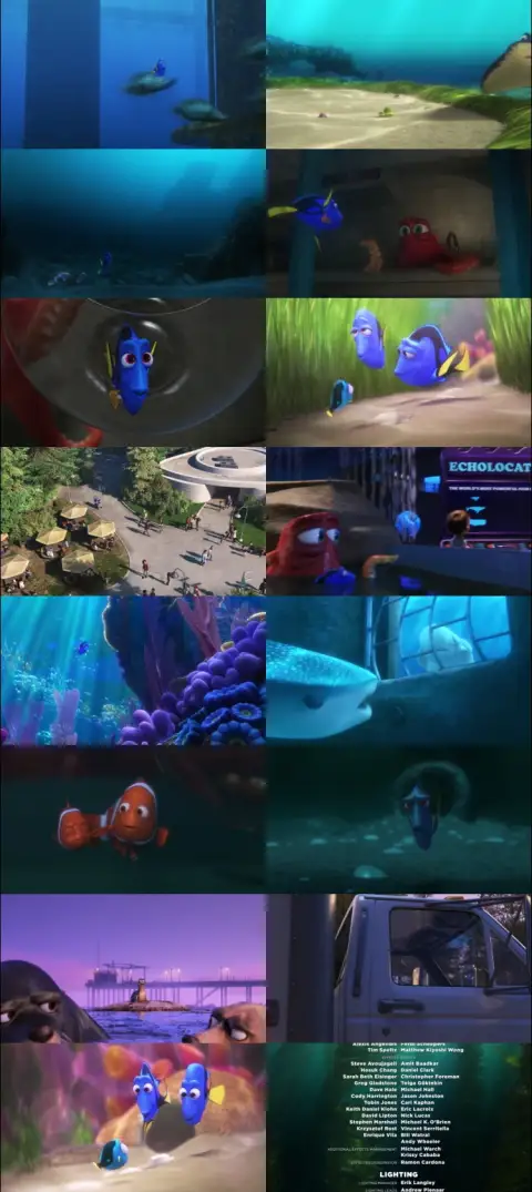 Still 1 of Finding Dory (2016) BluRay [Hindi (DD5.1) & English] 1080p 720p & 480p Dual Audio [x264]