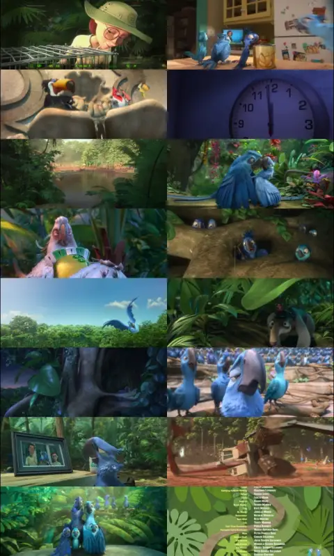 Still 1 of Rio 2 (2014) BluRay [Hindi (DD5.1) & English] 1080p 720p & 480p Dual Audio [x264]