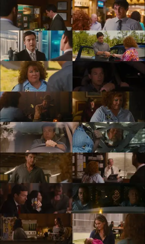 Still 1 of Identity Thief (2013) BluRay [Hindi (DD5.1) & English] 1080p 720p & 480p Dual Audio [x264]