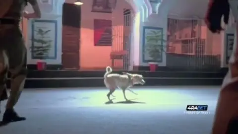Still 5 of Ohh My Dog (2026) HDTC [Hindi (Clean)] 1080p 720p & 480p [x264]