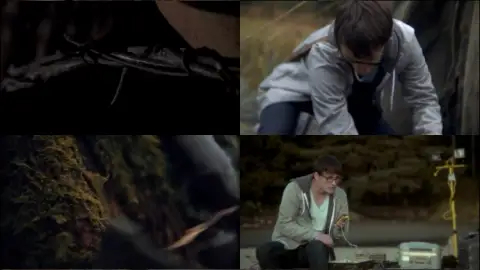 Still 1 of Dark Island (2010) BluRay [Hindi (ORG 2.0) & English] 720p & 480p [x264]