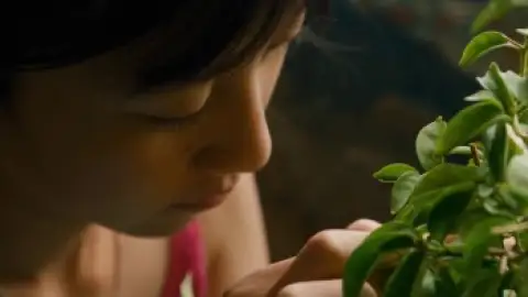 Still 1 of The Botanist (2026) WEB-DL [Hindi (DD2.0) & Kazakh] 1080p 720p & 480p Dual Audio [x264/10Bit-HEVC]