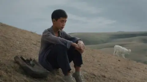 Still 4 of The Botanist (2026) WEB-DL [Hindi (DD2.0) & Kazakh] 1080p 720p & 480p Dual Audio [x264/10Bit-HEVC]