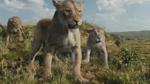 Still 8 of Mufasa: The Lion King (2024) BluRay[Hindi (ORG DD5.1) & English] 1080p 720p & 480p Dual Audio [x264/]