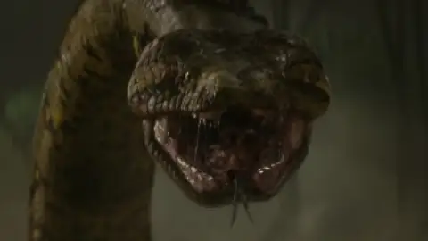 Still 8 of Anaconda (2025) DS4K WEB-DL [Hindi (DD5.1) & English] 4K 1080p 720p & 480p Dual Audio [x264/10Bit-HEVC]