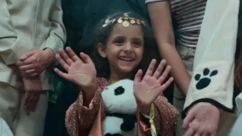 Still 8 of Panda Plan (2024) BluRay [Hindi (DD2.0) & English] 1080p 720p & 480p Dual Audio [x264/10Bit-HEVC]
