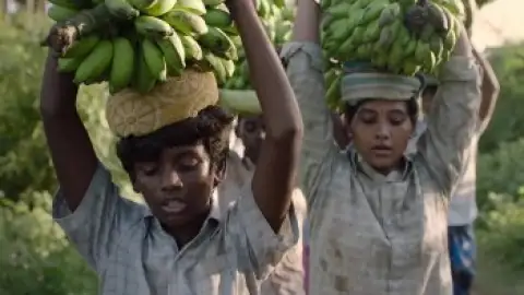 Still 1 of Vaazhai (2024) WEB-DL [Hindi (DD5.1) & Tamil] 4K 1080p 720p & 480p Dual Audio [x264/HEVC]
