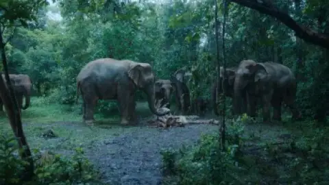 Still 8 of Poacher (Season 1) WEB-DL [Hindi DD5.1] 1080p 720p & 480p [x264/HEVC] HD | ALL Episodes [PrimeVideo]