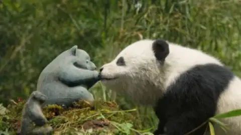 Still 6 of Panda Plan 2: The Magical Tribe (2026) WEB-DL [Hindi (DD2.0) & English] 1080p 720p & 480p Dual Audio [x264/10Bit-HEVC]