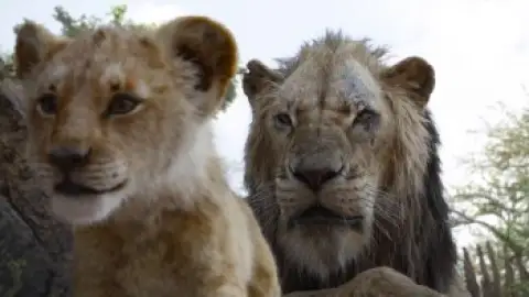 Still 1 of The Lion King (2019) BluRay [Hindi (ORG 2.0) & English] 4K 1080p 720p & 480p [x264/10Bit-HEVC]