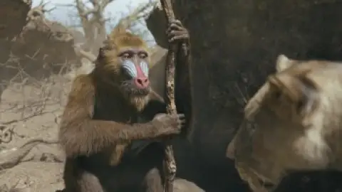 Still 5 of Mufasa: The Lion King (2024) BluRay[Hindi (ORG DD5.1) & English] 1080p 720p & 480p Dual Audio [x264/]
