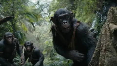 Still 2 of Kingdom of The Planet of The Apes (2024) WEB-DL [Hindi (DD5.1) & English] 4K 1080p 720p & 480p Dual Audio [x264/10Bit-HEVC]