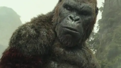 Still 4 of Kong: Skull Island (2017) BluRay [Hindi (ORG 5.1) + English] 4K 1080p 720p & 480p Dual Audio [x264/10Bit-HEVC] | Full Movi