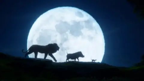 Still 3 of The Lion King (2019) BluRay [Hindi (ORG 2.0) & English] 4K 1080p 720p & 480p [x264/10Bit-HEVC]